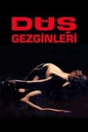 Düş Gezginleri