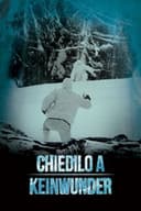 Chiedilo a Keinwunder