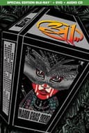 311 - Mardi Gras 2020