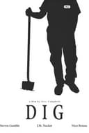 Dig