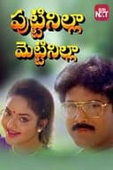 పుట్టినిల్ల మెట్టినిల్ల