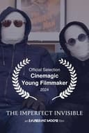 The Imperfect Invisible
