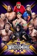 WWE レッスルマニア XXX