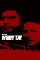 The Wharf Rat