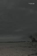 Nine Inch Nails: Australia