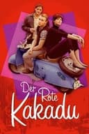 Der Rote Kakadu
