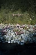 BEGINNING ビギニング