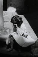 Первая любовь