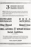 Blue Blood