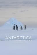 Antarctica, sur les traces de l'empereur