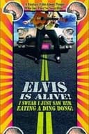 Elvis Is Alive! I Swear I Saw Him Eating Ding Dongs Outside the Piggly Wiggly's