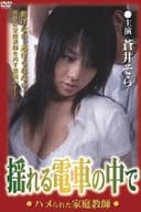 揺れる電車の中で ハメられた家庭教師