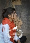 ହାଲୋ ଆର୍ସି