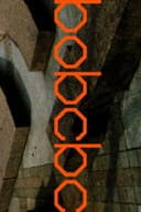 Quasi Skateboards - BOBCBC