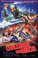 Challenge of the Ninja