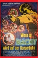 Wenn es Nacht wird auf der Reeperbahn