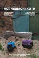 Мої нещасні коти