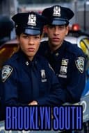 Brooklyn South