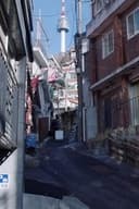 겨울날들