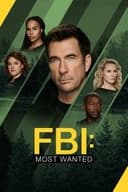 FBI: Most Wanted～指名手配特捜班～