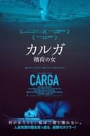 ヴィクトリア 暗闇からの脱走