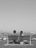 Birthday Adjustment Disorder