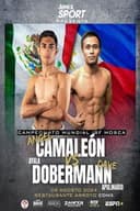 Angel Ayala vs. Dave Apolinario