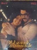 உல்லாச பறவைகள்