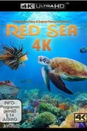 Red Sea