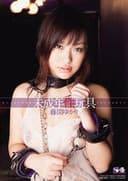 未成年性玩具 藤間ゆかり