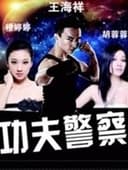 功夫警察