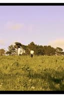 Shootout of an Underground Railroad