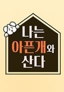 나는 아픈 개와 산다