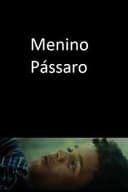 Menino Pássaro