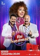 Bu Sayılmaz