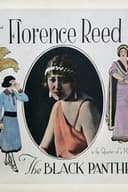 The Black Panther's Cub