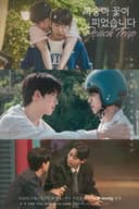 복숭아 꽃이 피었습니다