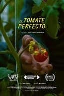 El Tomate Perfecto