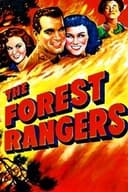 The Forest Rangers