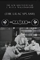 The Lilac Splash
