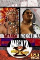 WWE March to WrestleMania X