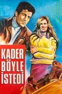 Kader Böyle İstedi
