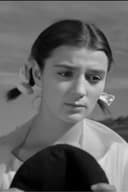 ჩქარი მატარებელი