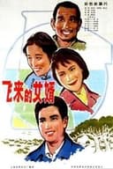 飞来的女婿