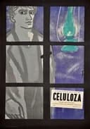 Celuloza
