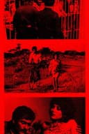 Maracaibo Petroleum Company