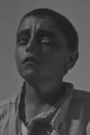 ვლადიმერ ჭიაურელი