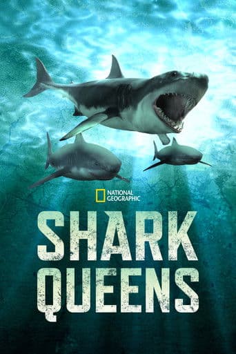 Shark Queensのポスター