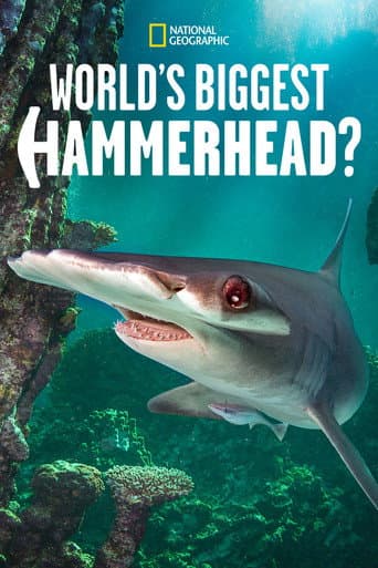 World's Biggest Hammerhead?のポスター