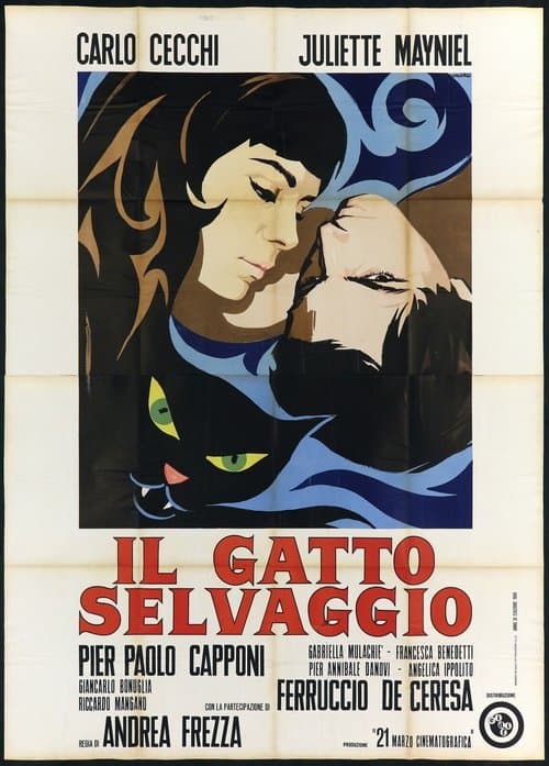 Il gatto selvaggioのポスター